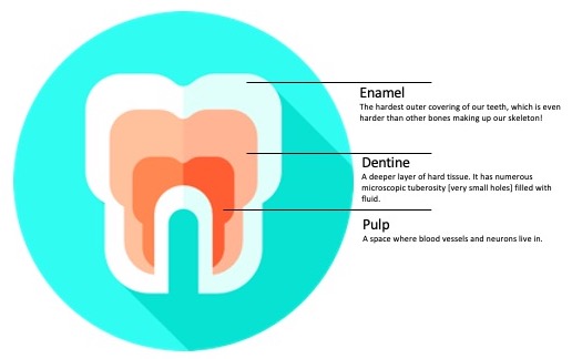 why do I have sensitive teeth